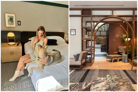 ternate pet friendly hotels|THE BEST Pet.